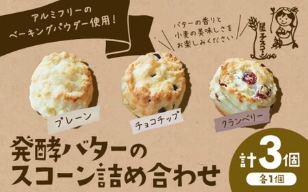 星子スコーン 行列ができる スコーン 詰め合わせ 3種 3個