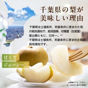 2026年発送先行受付 周郷梨園のやちよ100年梨(3kg)_周郷梨園 やちよ100年 梨 なし_【1493887】