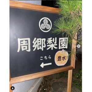 2026年発送先行受付 周郷梨園のやちよ100年梨(10kg)【1493889】