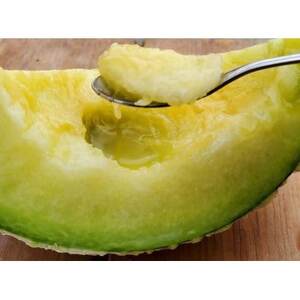 令和7年分きむら農園の特級マスクメロン1玉【化粧箱入り】【1494647】