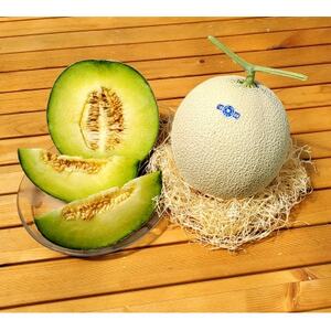 令和7年分きむら農園の特級マスクメロン1玉【化粧箱入り】【1494647】