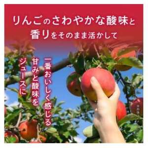 青森県産　リンゴ100%ジュース(195g×15本) 　_リンゴジュース 青森県産 果汁100%_【1496131】