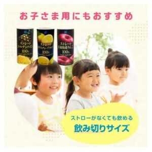 青森県産　リンゴ100%ジュース(195g×15本) 　_リンゴジュース 青森県産 果汁100%_【1496131】