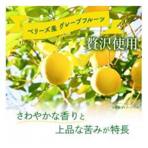 ベリーズ産 グレープフルーツジュース 果汁100% (195g×15本)_グレープフルーツジュース ベリーズ産 果汁100%_【1496135】