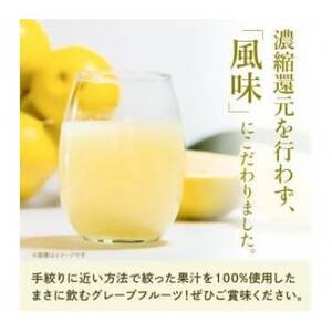 ベリーズ産 グレープフルーツジュース 果汁100% (195g×15本)_グレープフルーツジュース ベリーズ産 果汁100%_【1496135】