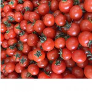 【毎月定期便】〈2025年10月より順次発送〉きむら農園の完熟フルーツミ ニトマト 約1kg全3回【配送不可地域：離島・北海道・沖縄県・東北・中国・四国・九州】【4053057】