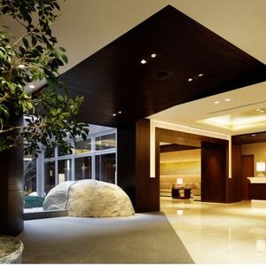 ラグジュアリーな空間で癒やしの人間ドック+脳ドック 胃透視検査+お食事アップグレード+トリートメント【1178609】