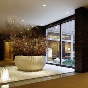 ラグジュアリーな空間で癒やしの人間ドック+脳ドック 胃透視検査+お食事アップグレード+トリートメント【1178609】