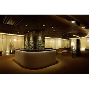 ラグジュアリーな空間で受ける癒やしの人間ドック+脳ドック(胃透視検査+お食事+トリートメント付き)【1178612】