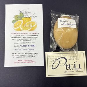 千葉県八千代市産 八千代レモン王国 5個入り 菓子工房ノエル【配送不可地域:離島】【1623878】