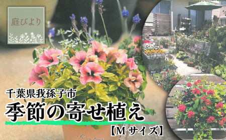 季節の寄せ植え Ｍサイズ