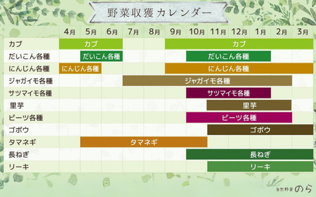 季節の野菜セット (8~10種)
