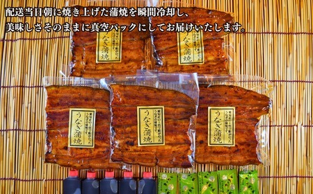 【安井家】国産鰻蒲焼 約120g×5パック