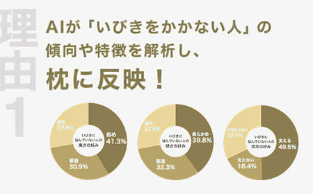 いびきに悩む人向け枕 THE PILLOW Preset 01 Ibiki