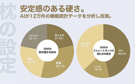 30代向けの枕 THE PILLOW Preset 18 30s