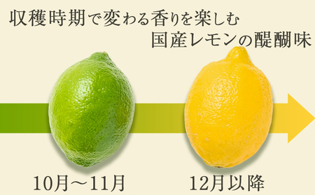 《１月発送》【皮まで食べられる】海と太陽のレモン【訳あり品-良品-】５kg（約40個） [0011-0058]