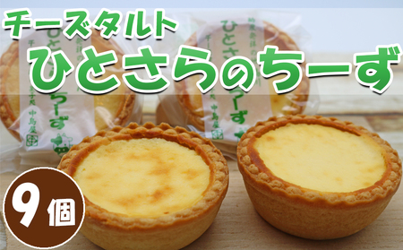【中島屋菓子店】チーズタルト「ひとさらのちーず」9個 [0010-0315]