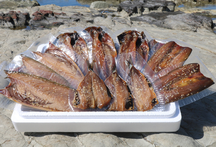 【極味の定期便】特製！みりん干し詰合せ ４種12枚 × 選べる３カ月《隔月発送》　[0044-0003]