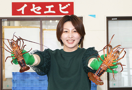 【漁協直送！】 房州黒潮育ち『天然 活イセエビ』1kg以上（4～6尾）　《期間限定》《数量限定》《配送日指定必須》《配送指定 令和8年5月末日まで》伊勢海老 伊勢エビ 刺身 活魚 [ウオポート][0050-0089]