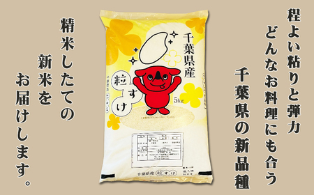 【令和６年新米予約】千葉県の新品種『長狭米 粒すけ』５kg　[0010-0332]