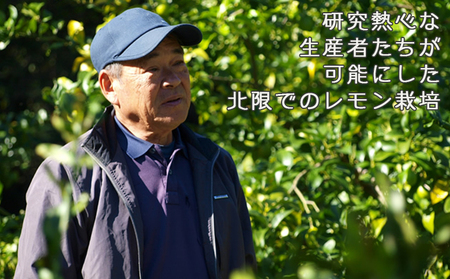 《１月発送》 【皮まで食べられる】海と太陽のレモン【秀品】３kg（約25個） [0011-0057]