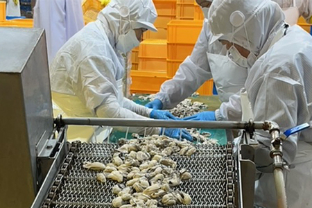 【雪月花】揚げるだけでサクッとプリッと 大粒カキフライ 1.7kg(60粒)[0014-0025]