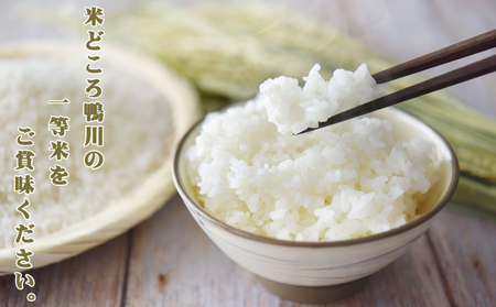 《令和７年産 新米》【米屋新蔵】関東一の極早生米『五百川』５kg　[0016-0026]