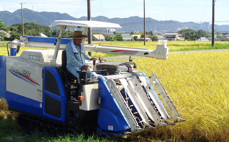 【令和7年産】嶺南ファームの嶺岡米「夢ごこち」 5kg　[0020-0104]