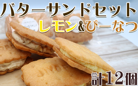 【中島屋菓子店】バターサンドセット　レモン&ぴーなつ 計12個 [0010-0347]
