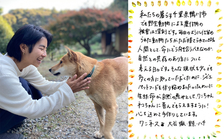 【無添加ペットフード】わんちゃんが喜ぶご馳走ジビエセット[0018-0015]