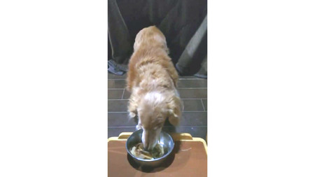 【かつおぶしの永井】グルメなワンニャンに！かつおぶしと花かつお　［0010-0355］