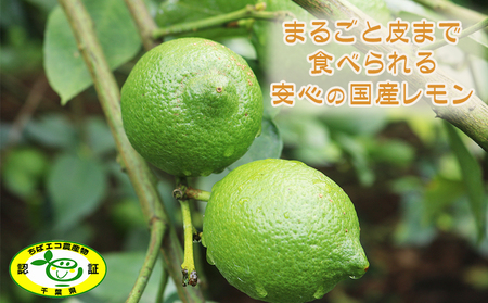 【数量・期間限定】せとかフルーツ調味料＆鴨川レモンセット（ビネガー・はちみつ各１本・レモン1.5kg）　[0012-0067]