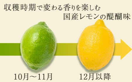 【数量・期間限定】せとかフルーツ調味料＆鴨川レモンセット（ビネガー・はちみつ各１本・レモン1.5kg）　[0012-0067]