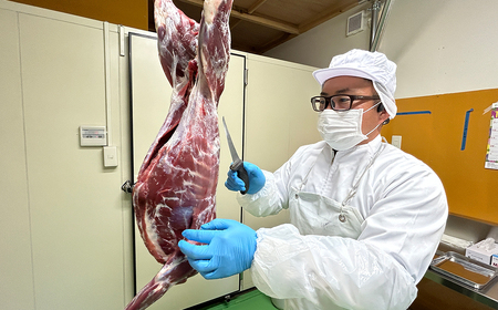 【LA SELVAGGINA KAMOGAWA】猟師の作ったペット用お肉　キョン肉100％ 90g×5個　［0011-0069］