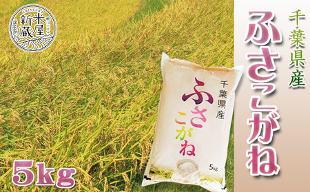 《令和７年産》【米屋新蔵】お米ソムリエ特選 千葉県産『ふさこがね』５kg　[0013-0049]
