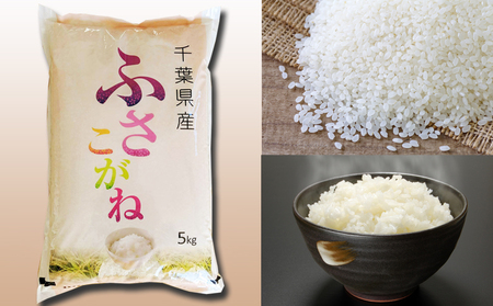 《令和７年産》【米屋新蔵】お米ソムリエ特選 千葉県産『ふさこがね』５kg　[0013-0049]