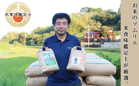 《令和７年産》【米屋新蔵】お米ソムリエ特選 千葉県産『ふさこがね』５kg　[0013-0049]