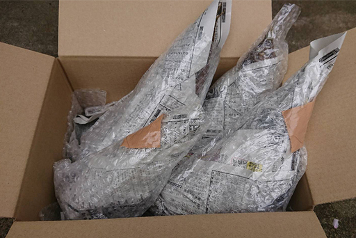 【ドメーヌKurisan】鴨川産 旬の筍「孟宗竹」5kg[0016-0020]