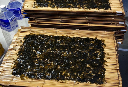 【久根崎善次郎商店】房州産天然上はばのり３枚◆数量限定◆ [0015-0056]