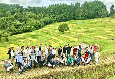 【先着50組限定！】大山千枚田『酒づくりオーナー制度』参加権利　[0057-0003]