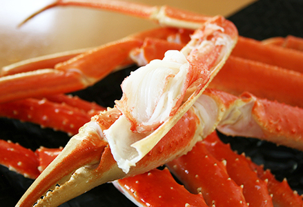 【金高水産】鍋・焼きガニ・カニしゃぶに！『ボイル ずわいがに』約１kg／４～５肩《数量限定》　[0019-0006]