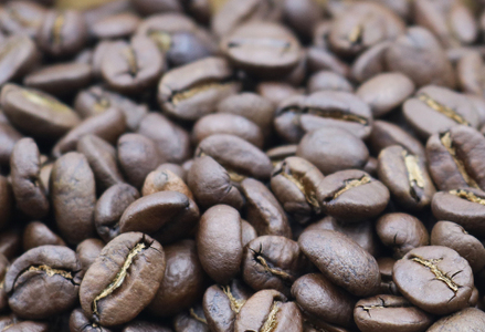 【カモガワ珈琲の定期便】焙煎したてのコーヒー豆 ３種（170g×３袋）３カ月《豆・毎月発送》　[0048-0002]