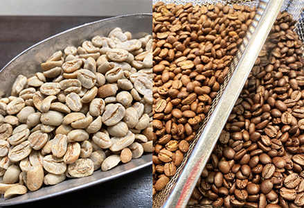 【カモガワ珈琲の定期便】焙煎したてのコーヒー豆 ３種（170g×３袋）３カ月《豆・毎月発送》　[0048-0002]