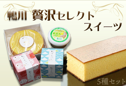 【鴨川発】贅沢セレクトスイーツ ５種セット [0018-0006]