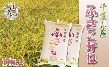 《令和７年産》【米屋新蔵】お米ソムリエ特選 千葉県産『ふさこがね』10kg　[0026-0008]