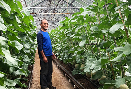 【令和8年5月発送／先行予約】鴨川ぷれみあむ『千葉アクアメロン』旬の大玉 １個　[0010-0213]