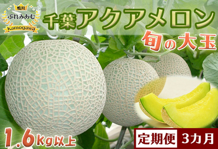 【令和8年5月発送／先行予約】鴨川ぷれみあむ『千葉アクアメロン』旬の大玉 １個 × ３カ月　[0030-0095]