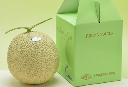 【令和8年5月発送／先行予約】鴨川ぷれみあむ『千葉アクアメロン』旬の大玉 １個 × ３カ月　[0030-0095]