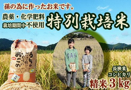 孫のために作りました！田代農園の『特別栽培米』《精米》 ３kg　[0010-0159]