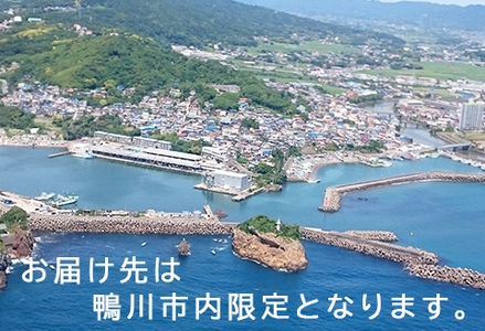 【鴨川市内限定】見守り訪問サービス『Yakult（ヤクルト）1000』７本×９週間　[0030-0106]
